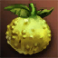 Ripe Alternative King Coba