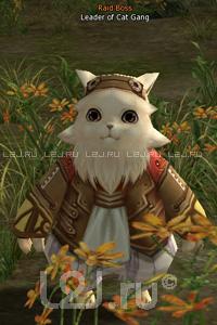 Leader of Cat Gang