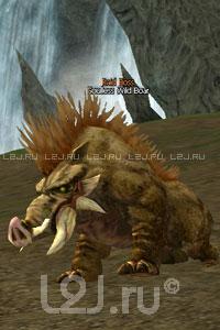 Soulless Wild Boar