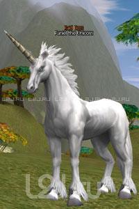 Paniel the Unicorn