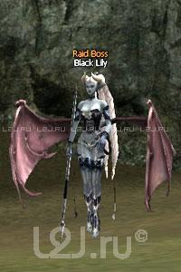 Black Lily