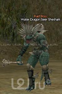 Water Dragon Seer Sheshark