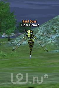Tiger Hornet