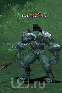 Tracker Leader Sharuk