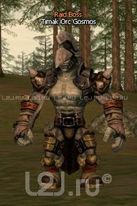 Timak Orc Gosmos