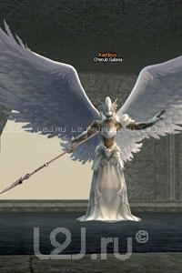 Cherub Galaxia